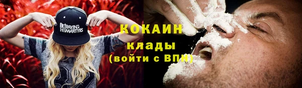 ешки Гусев