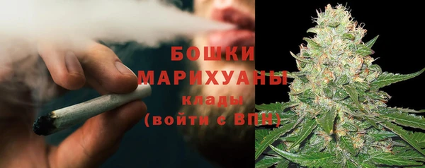 ешки Гусев