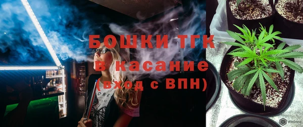 ешки Гусев