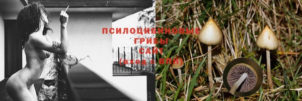 экстази Гусиноозёрск