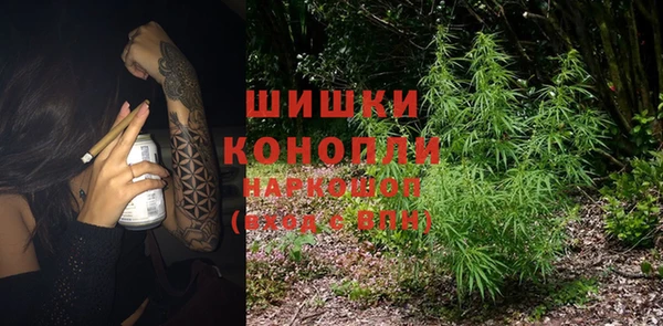 ешки Гусев
