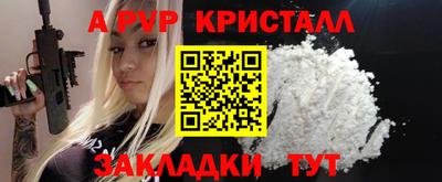 спайс Кингисепп