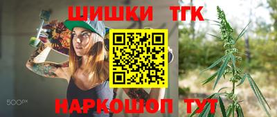 спайс Кингисепп