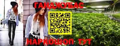 спайс Кингисепп