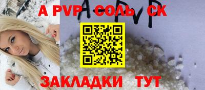 спайс Кингисепп
