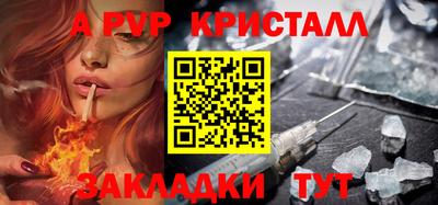 спайс Кингисепп